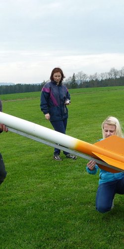 2013 Svojek Petr V